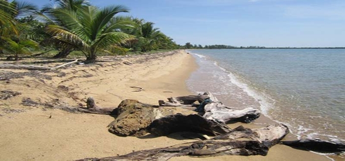 Plus belles plages du Béllize Sabal Beach