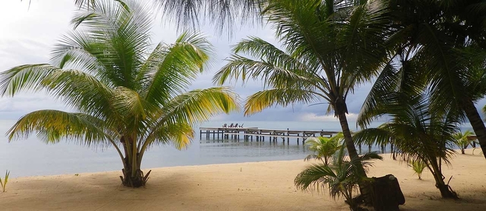 Plus belles plages du Béllize Sabal Beach