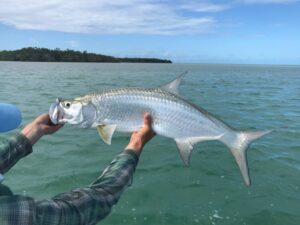 Tout savoir sur Caye Caulker Bélize Pêche